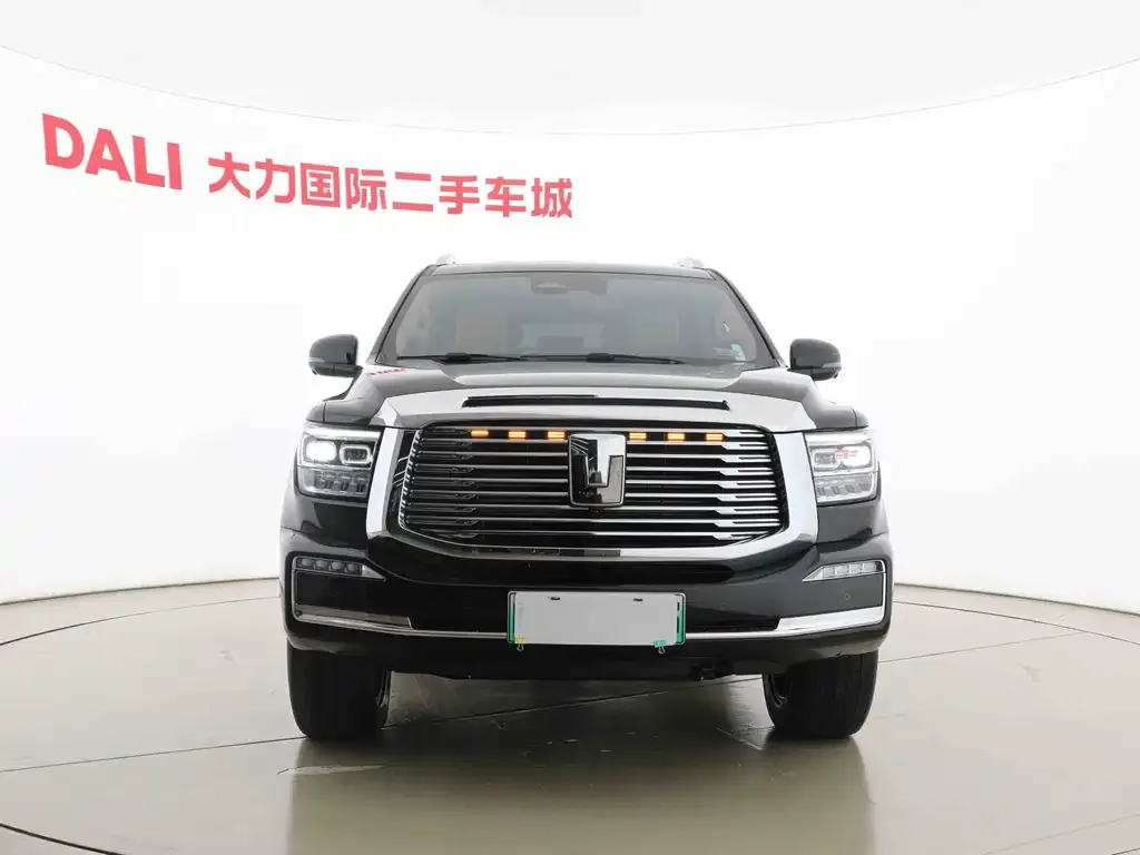 Tank 500 New Energy 2023 из CN, фото 8