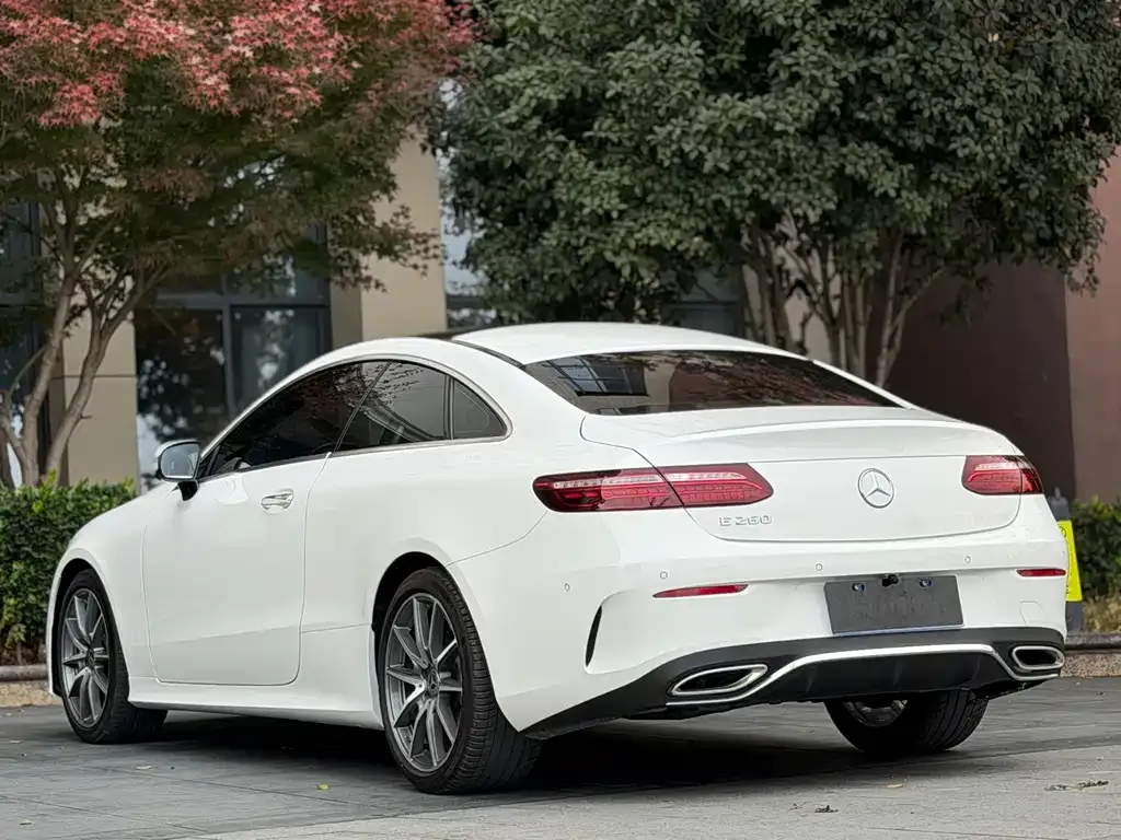 Mercedes-Benz E-Class (Import) — фото 10