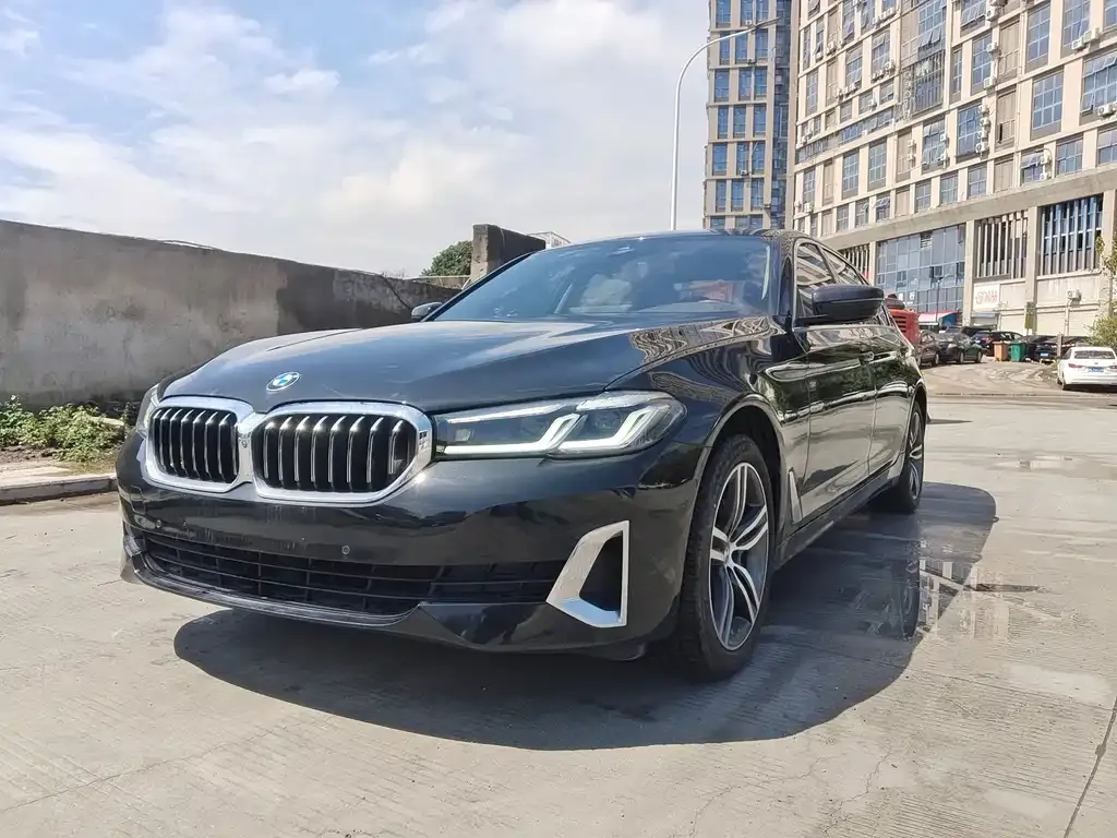 BMW 5 Series 2021 из CN, фото 1