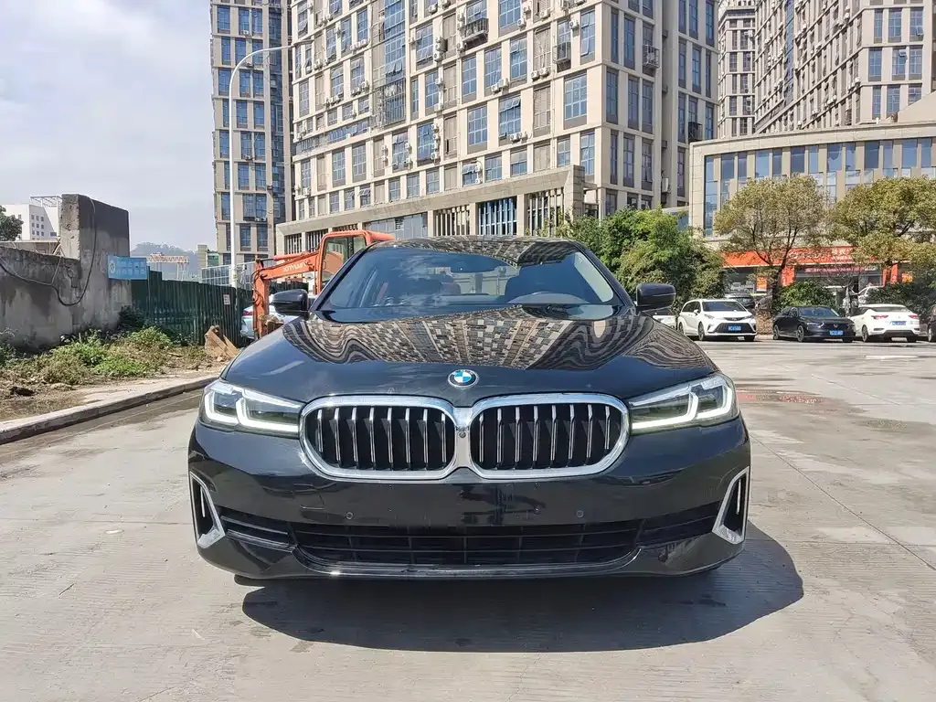 BMW 5 Series 2021 из CN, фото 9