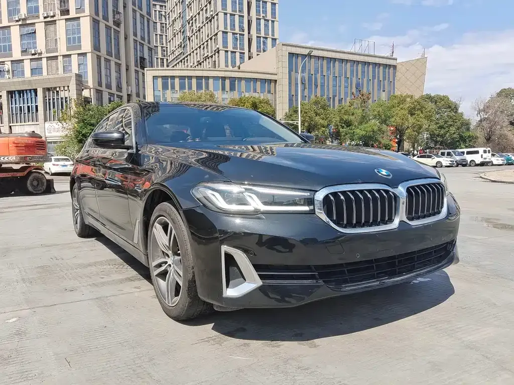 BMW 5 Series 2021 из CN, фото 8