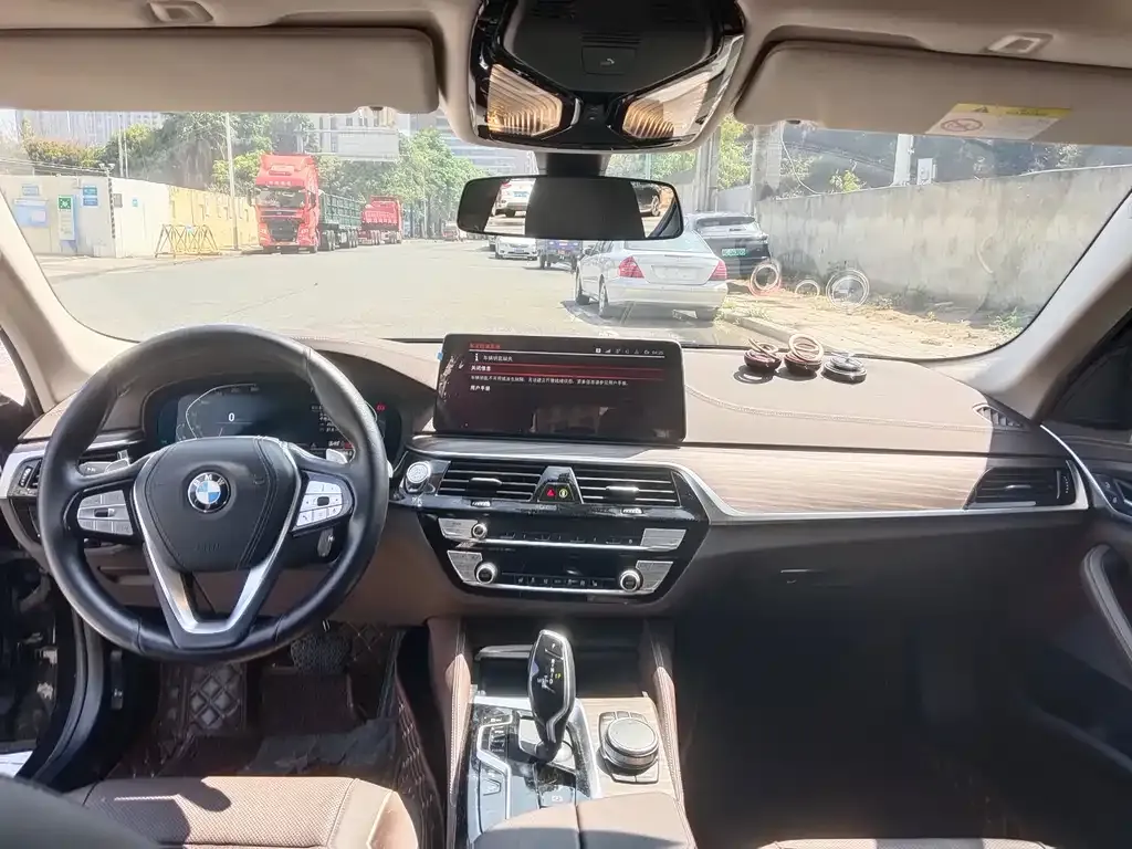 BMW 5 Series 2021 из CN, фото 7