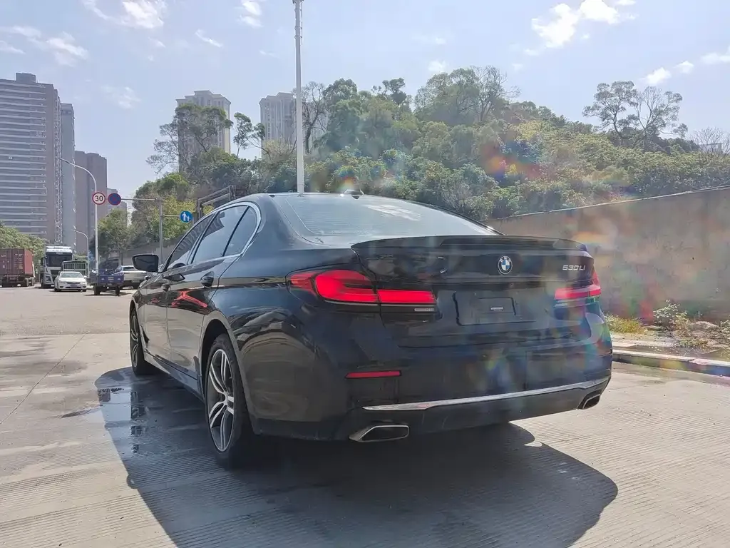 BMW 5 Series 2021 из CN, фото 3