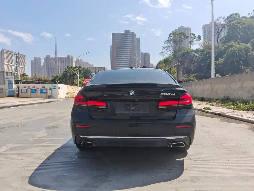 BMW 5 Series 2021 из CN, фото 6