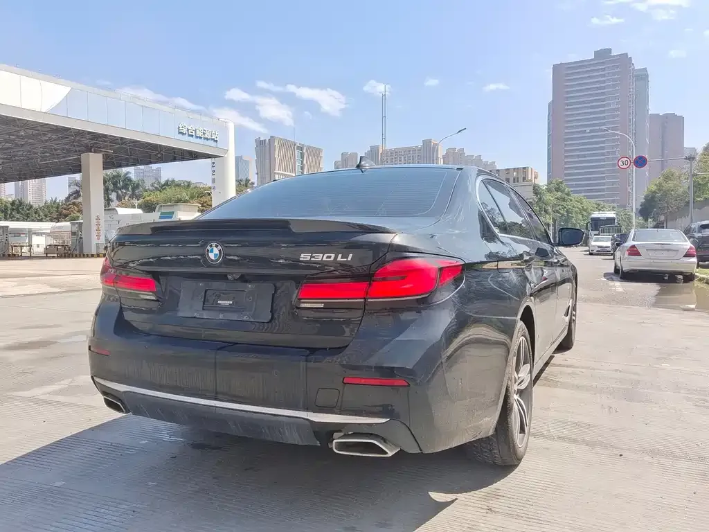 BMW 5 Series 2021 из CN, фото 4
