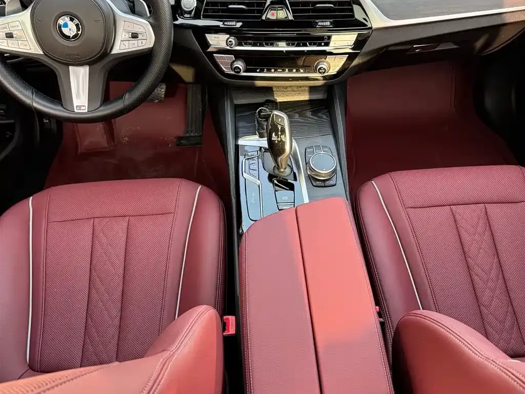 BMW 5 Series 2023 из CN, фото 5