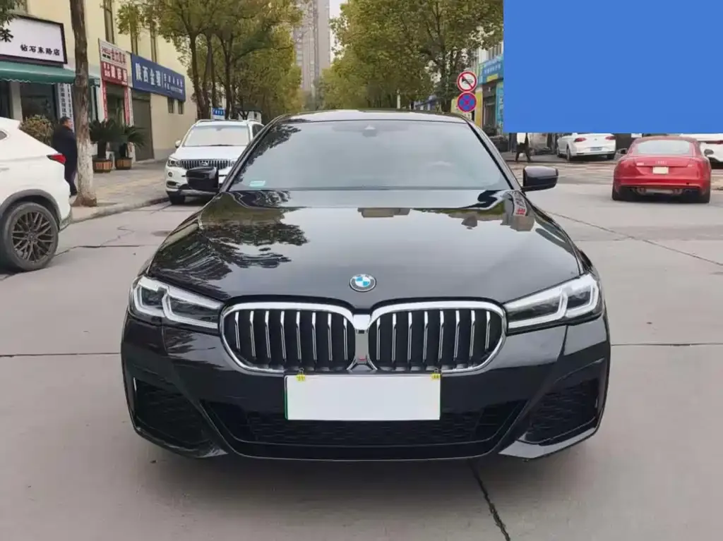 BMW 5 Series New Energy 2021 из CN, фото 1