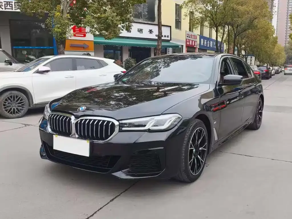 BMW 5 Series New Energy 2021 из CN, фото 3