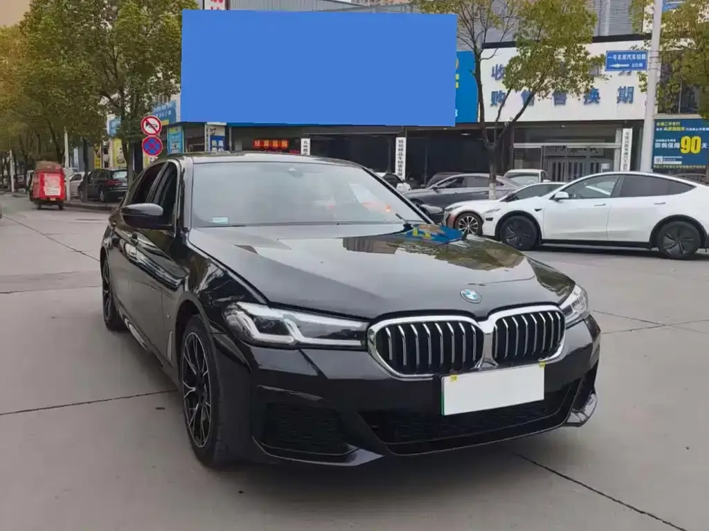 BMW 5 Series New Energy 2021 из CN, фото 4