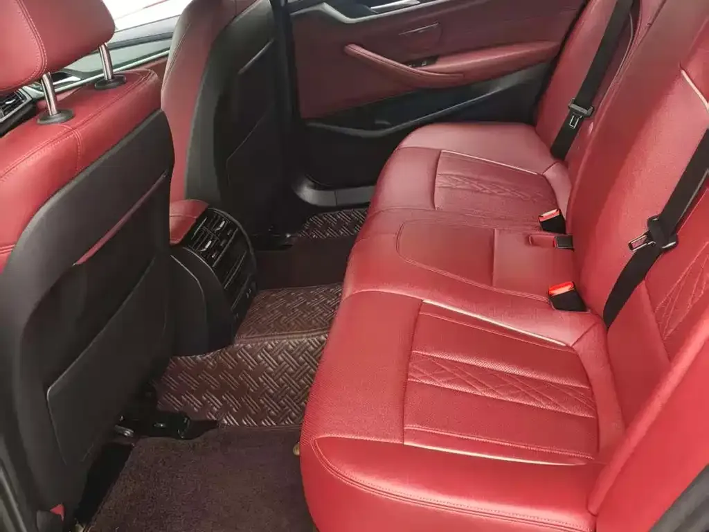 BMW 5 Series New Energy 2021 из CN, фото 6