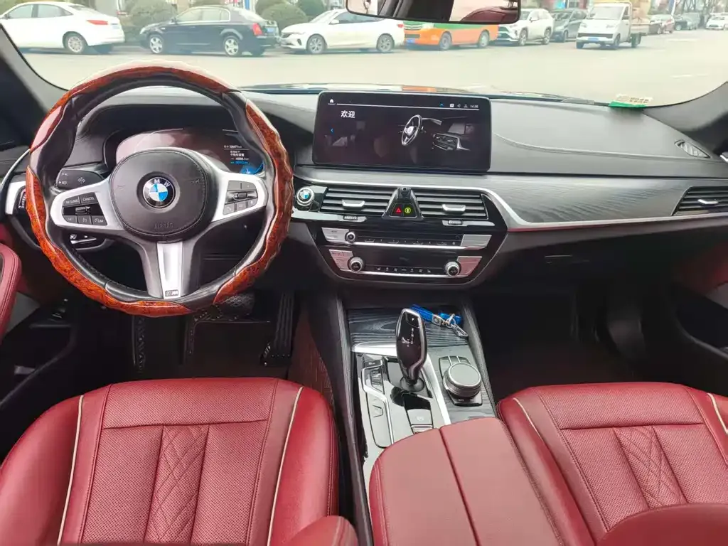 BMW 5 Series New Energy 2021 из CN, фото 5