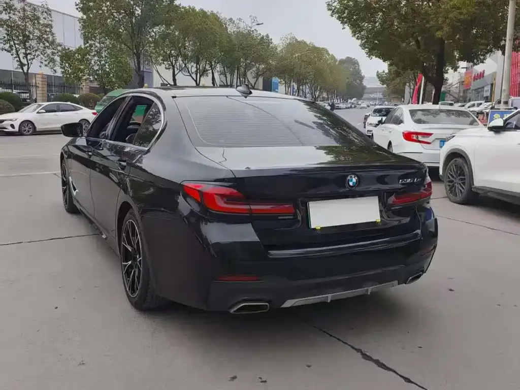BMW 5 Series New Energy 2021 из CN, фото 7