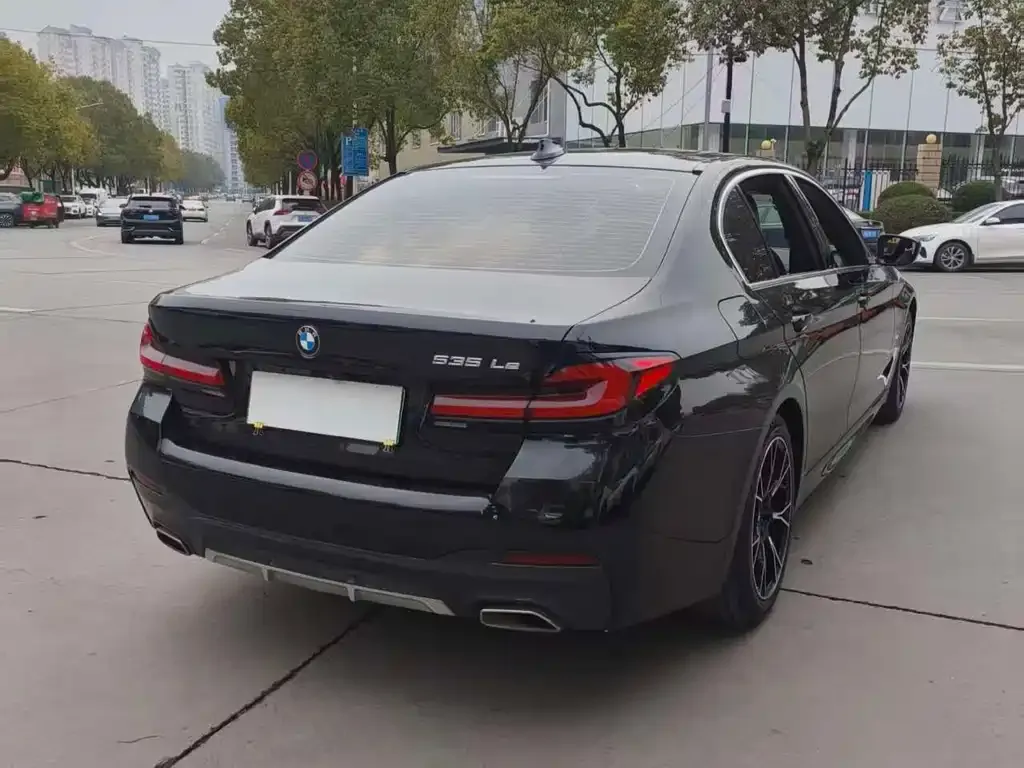 BMW 5 Series New Energy 2021 из CN, фото 9