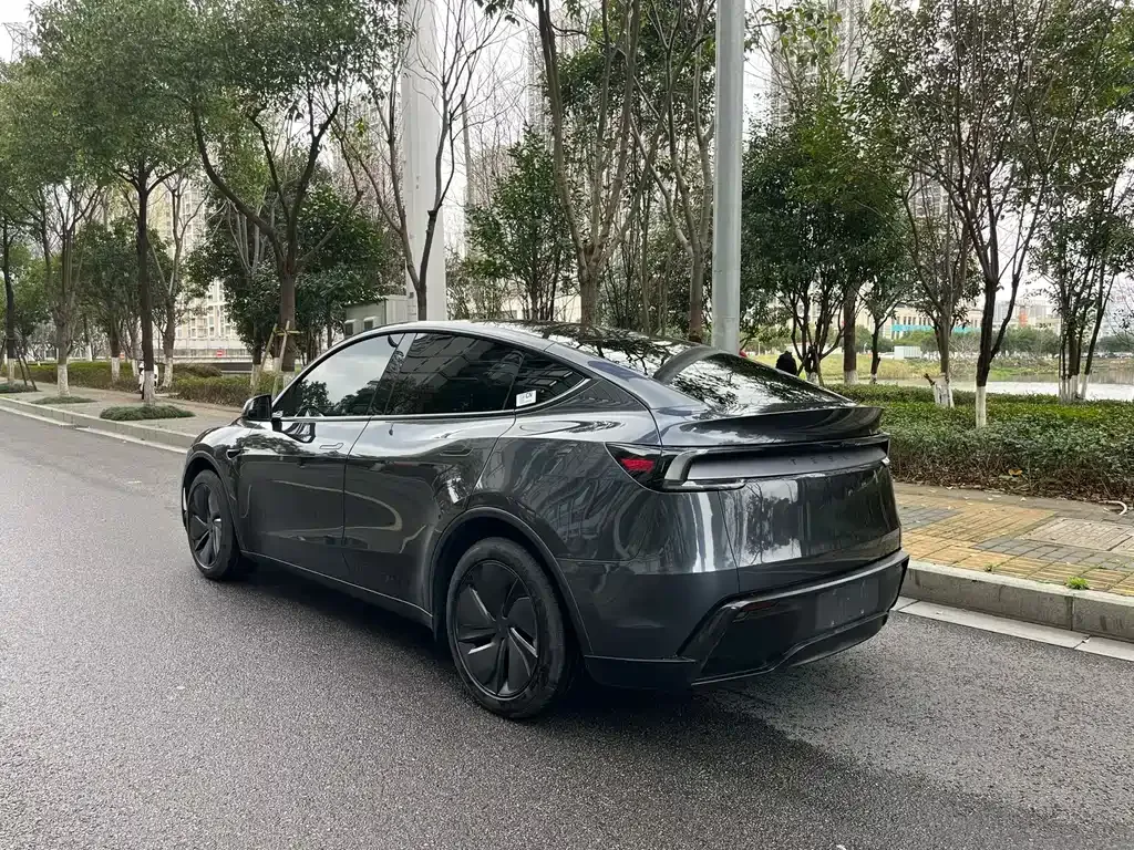 Tesla Model Y — фото 9