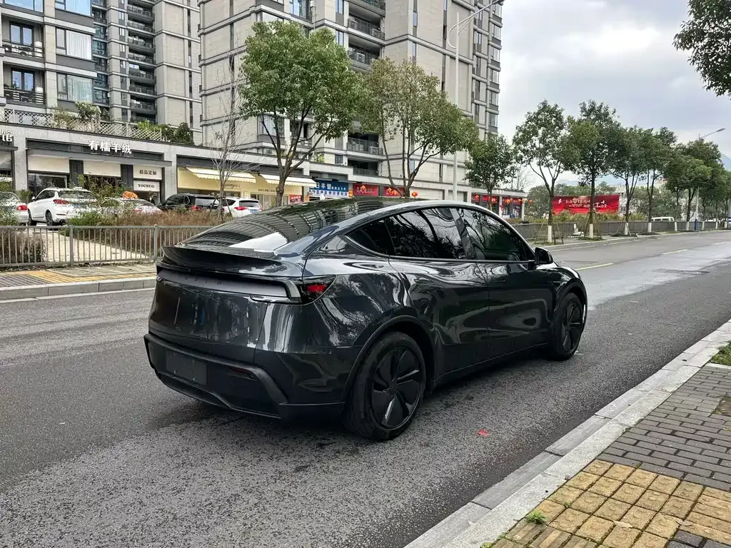 Tesla Model Y — фото 5