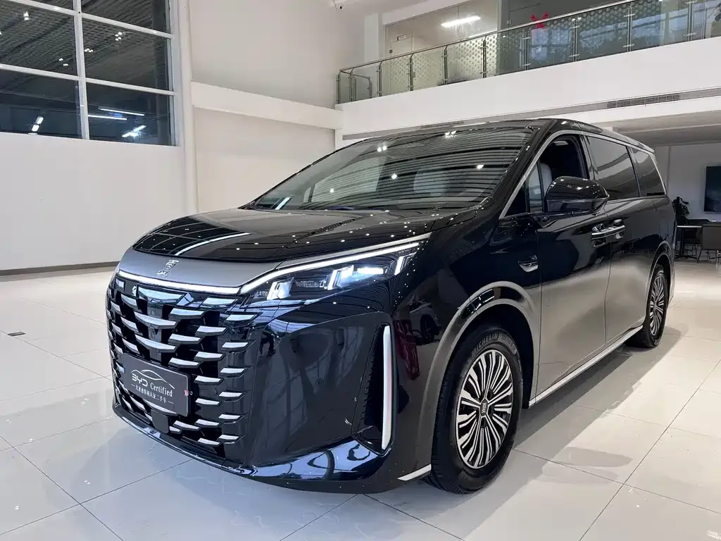 BYD Xia 2025 из CN, фото 1