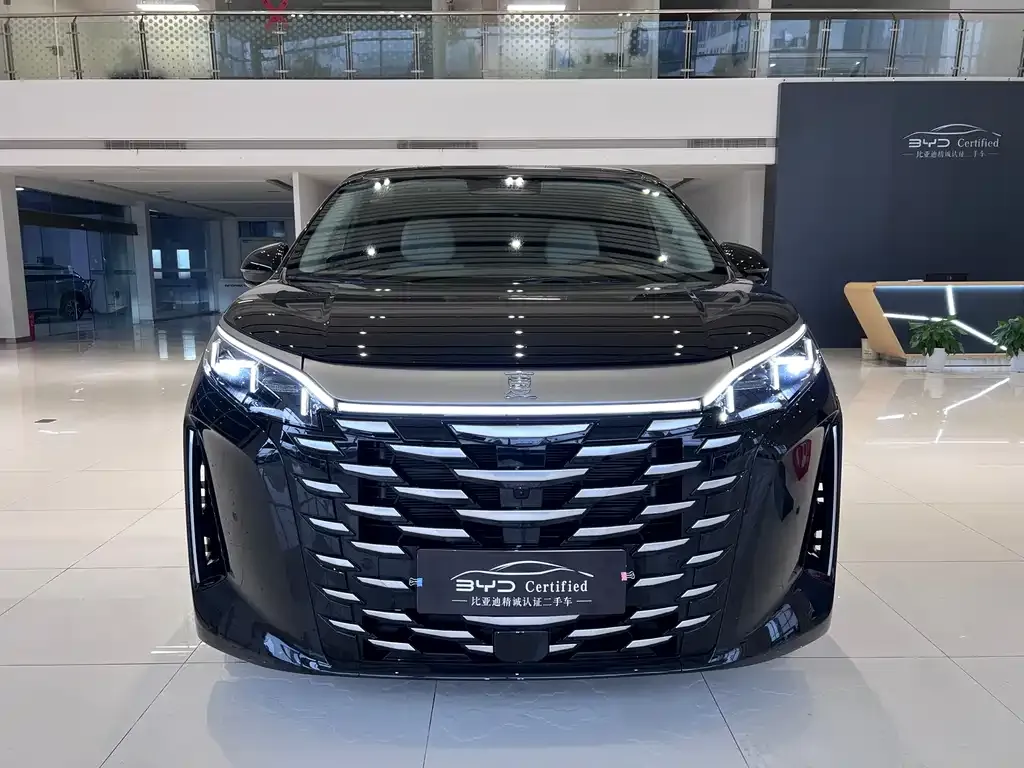BYD Xia 2025 из CN, фото 2