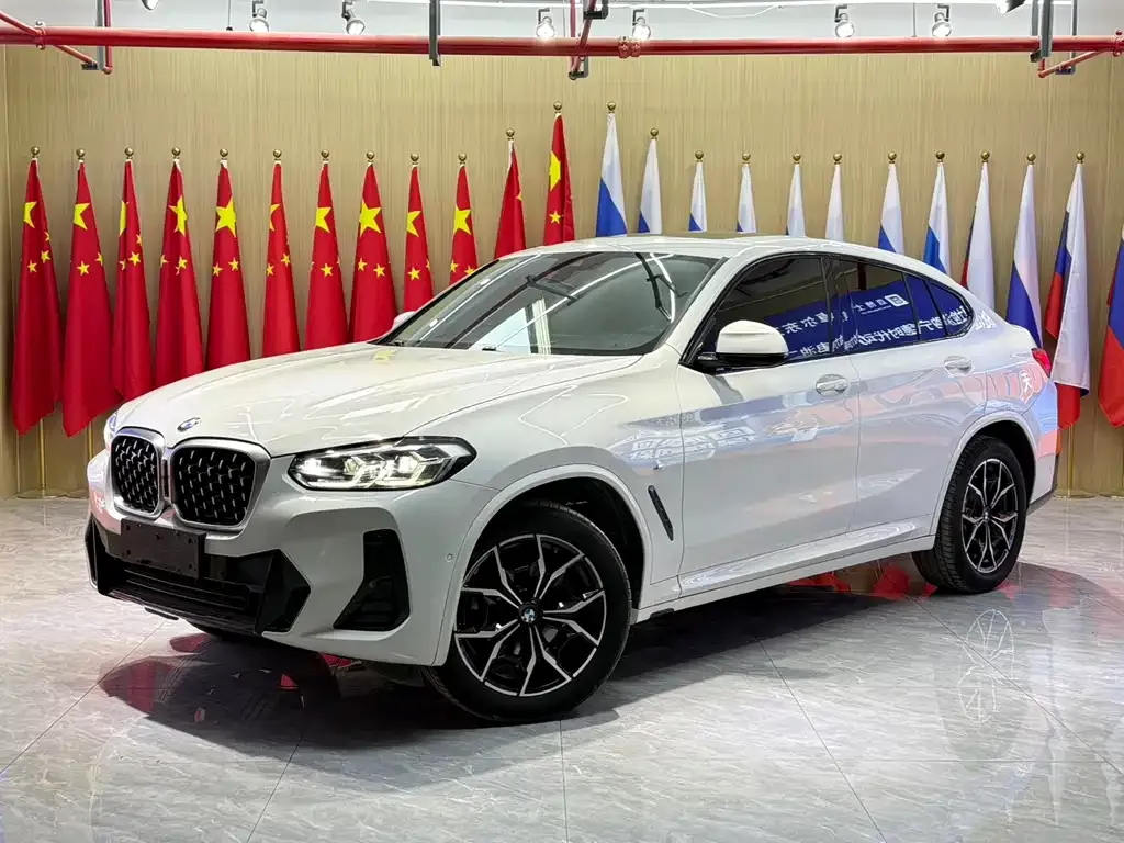 BMW X4 xDrive 25i M Sport