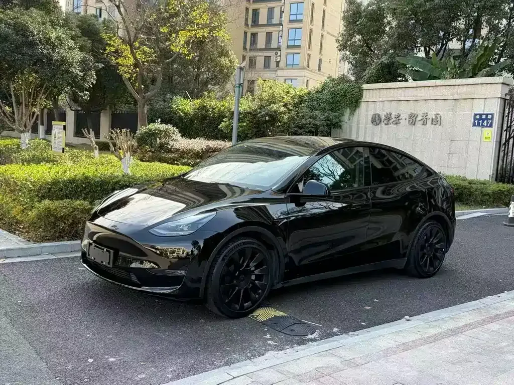 Tesla Model Y 2022 из CN, фото 1