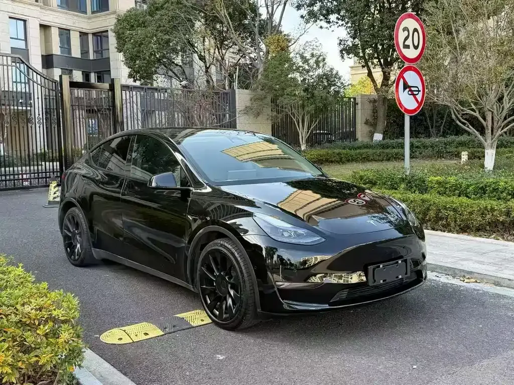 Tesla Model Y 2022 из CN, фото 4