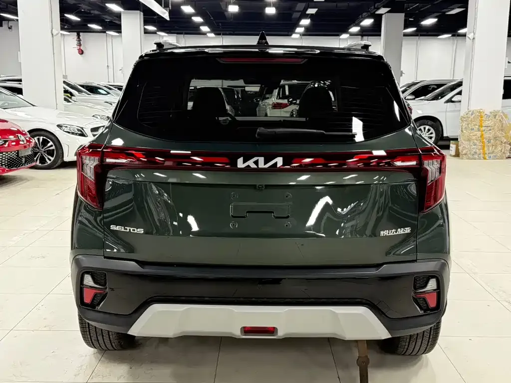 Kia Seltos 2023 из CN, фото 4