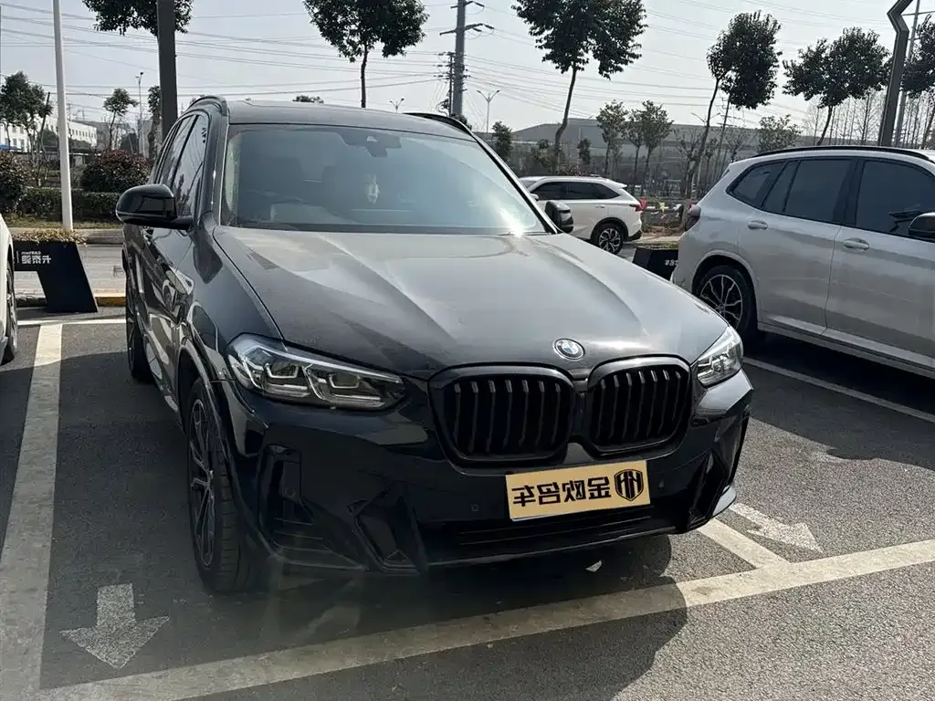 BMW X3 2023 из CN, фото 5