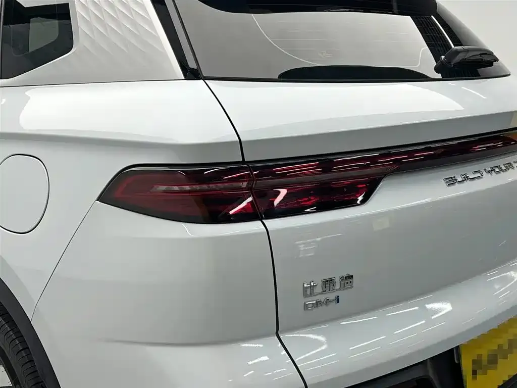 BYD Pro New Energy — фото 4