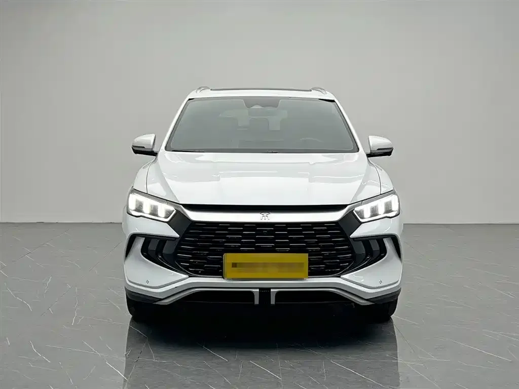 BYD Pro New Energy — фото 3