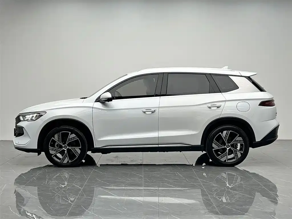 BYD Pro New Energy — фото 6