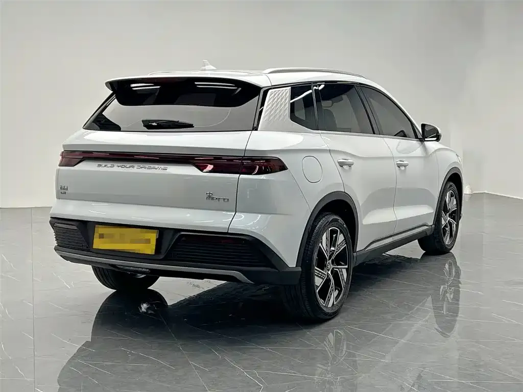BYD Pro New Energy — фото 10