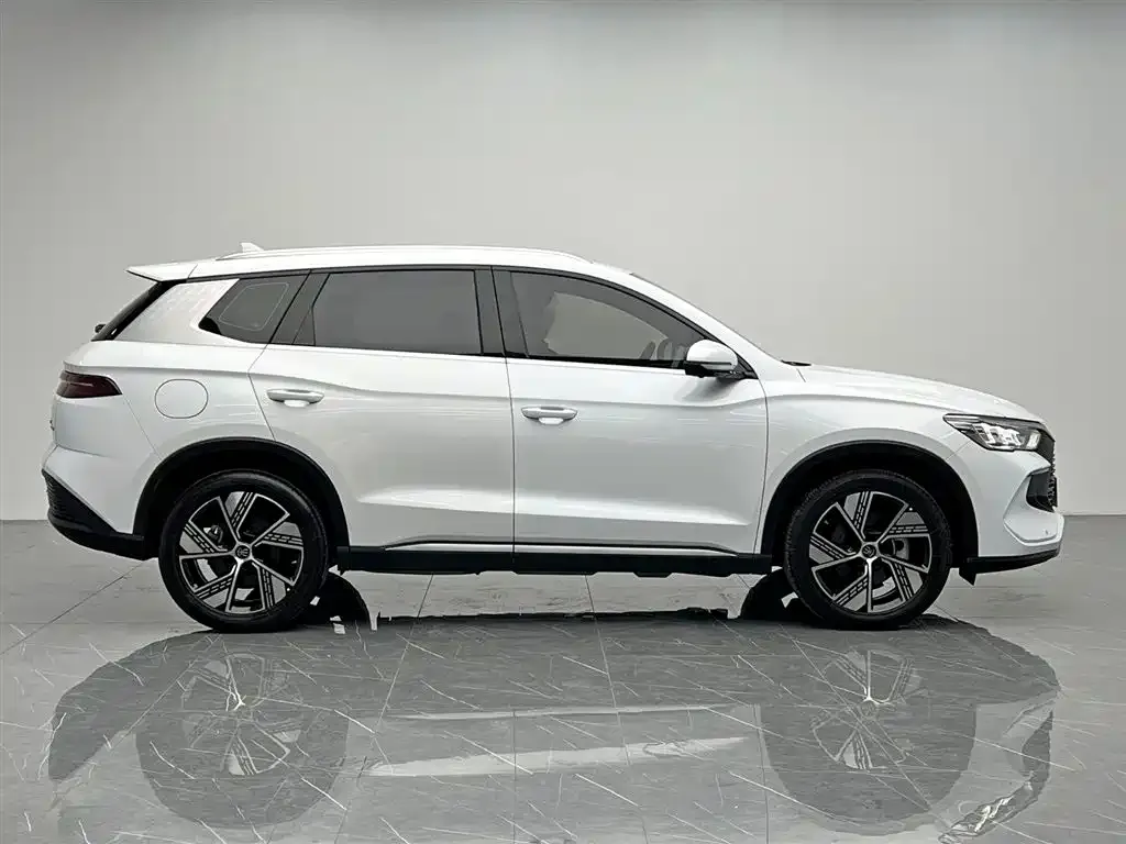 BYD Pro New Energy — фото 2