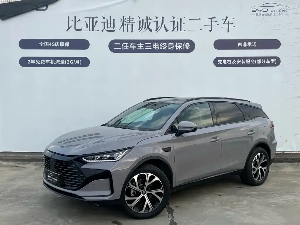 BYD Tang New Energy — фото 1