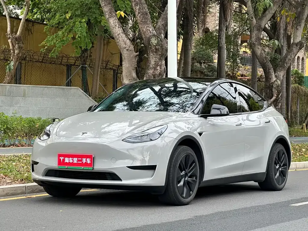 Tesla Model Y 2024 из CN, фото 1