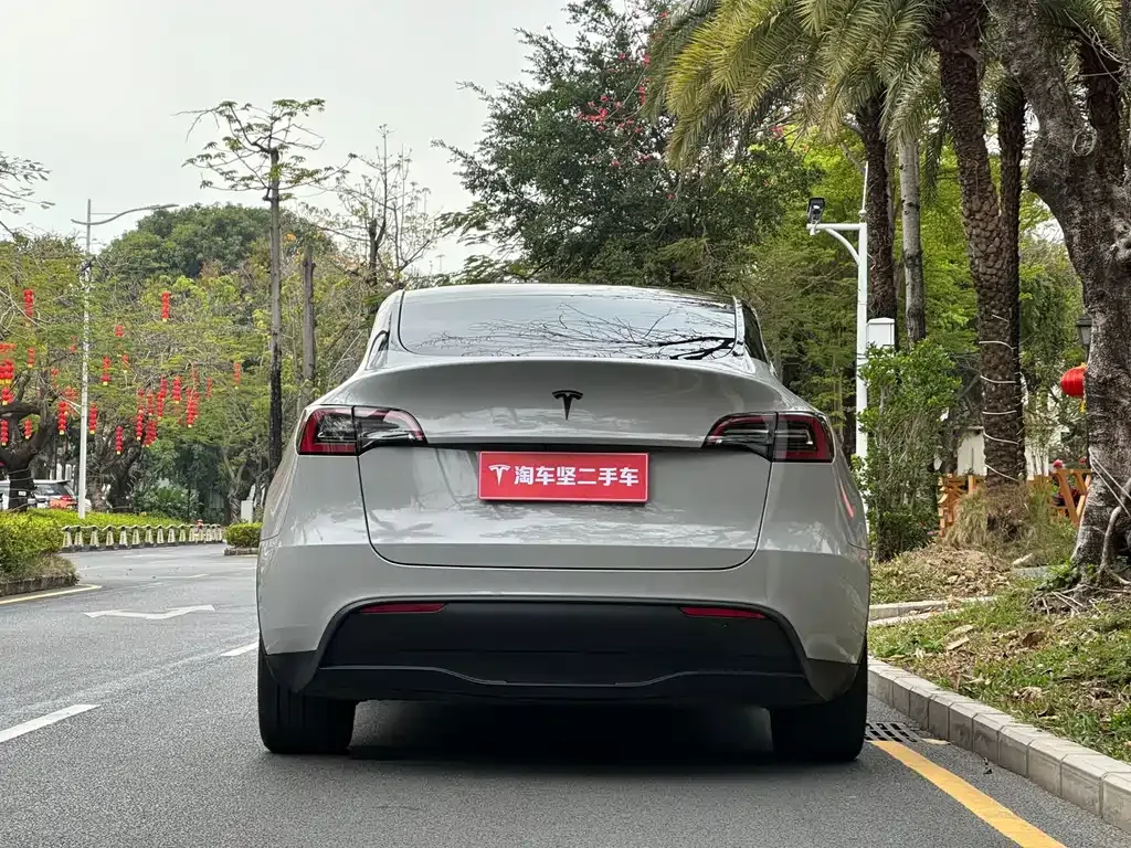 Tesla Model Y 2024 из CN, фото 8