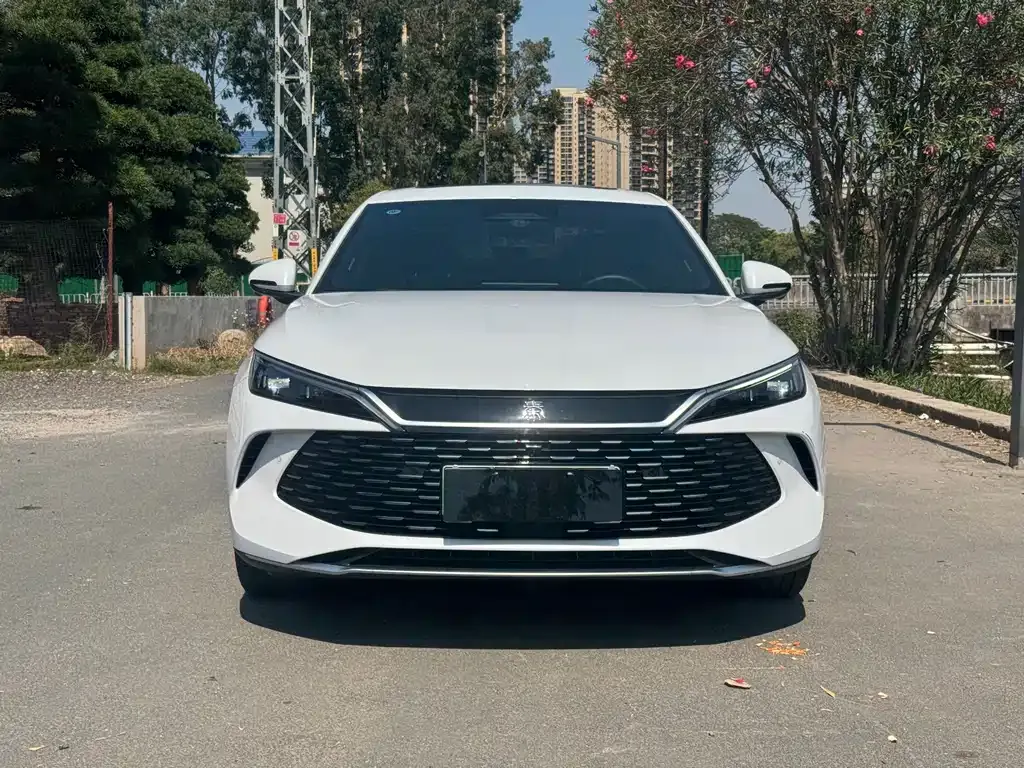 BYD Qin L — фото 10