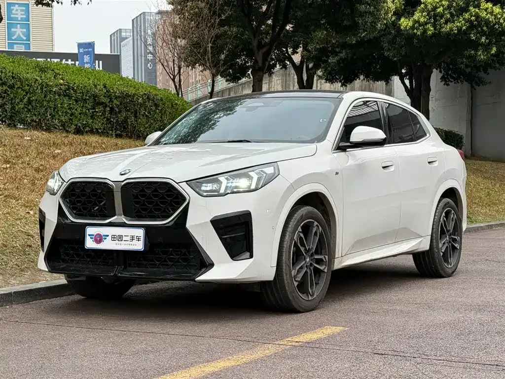 BMW X2 (Import) — фото 1