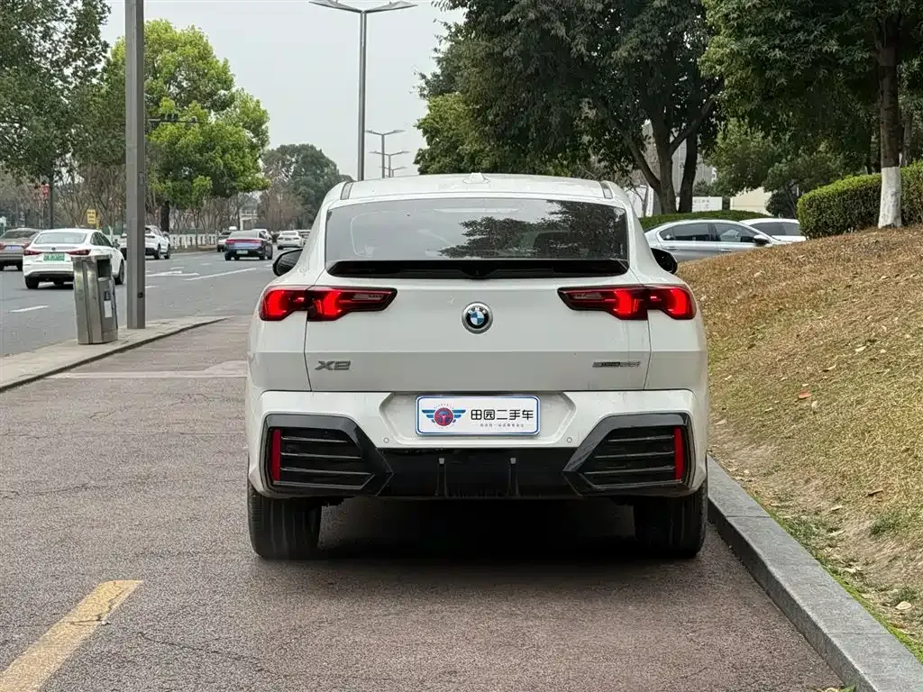 BMW X2 (Import) — фото 10