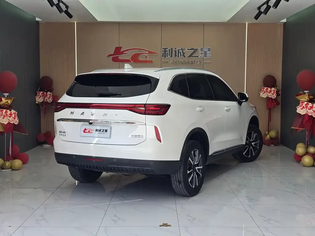 Haval H6 — фото 8