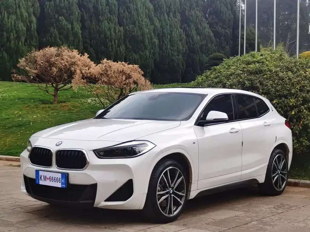 BMW X2 2021 из CN, фото 1