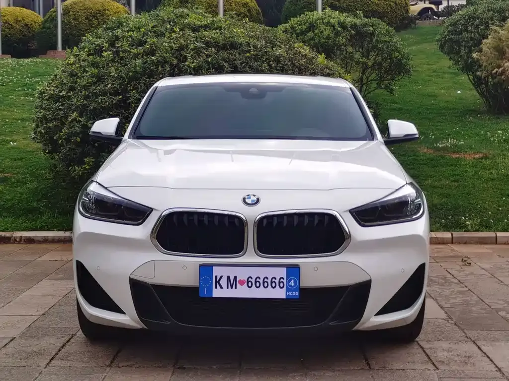 BMW X2 2021 из CN, фото 6