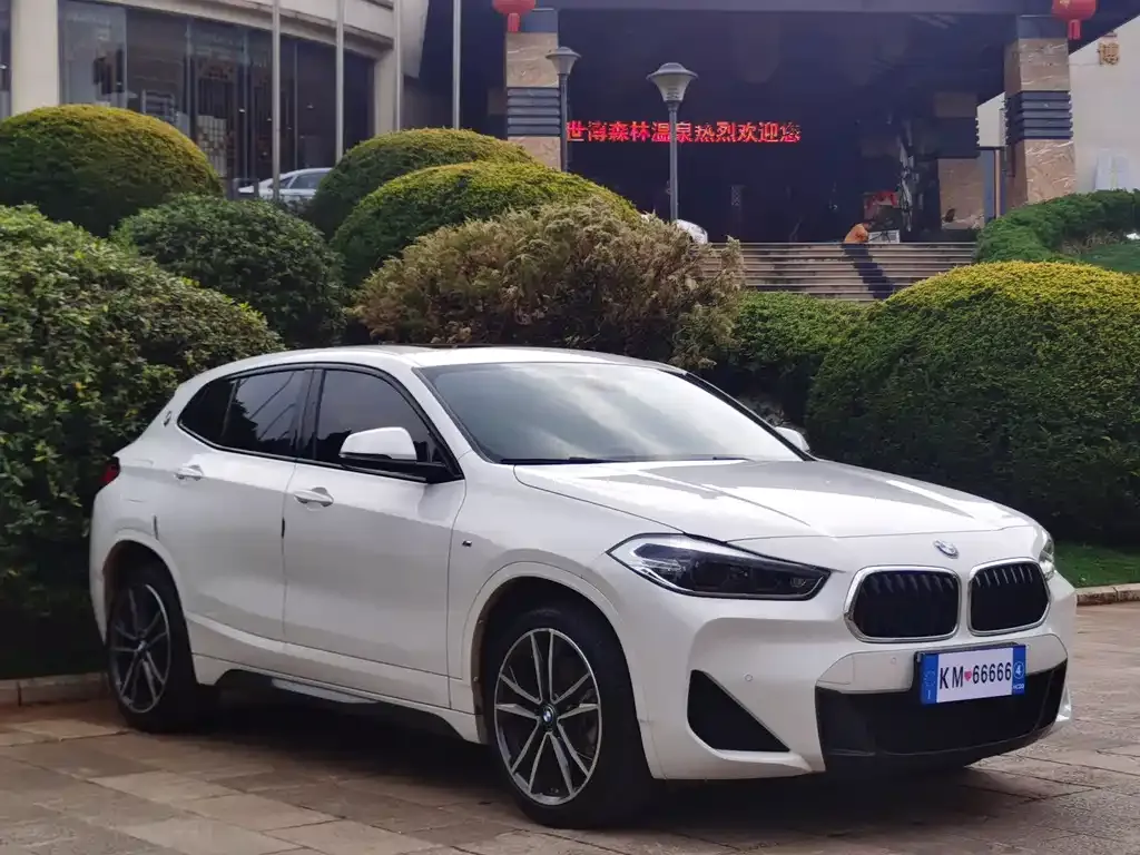BMW X2 2021 из CN, фото 5