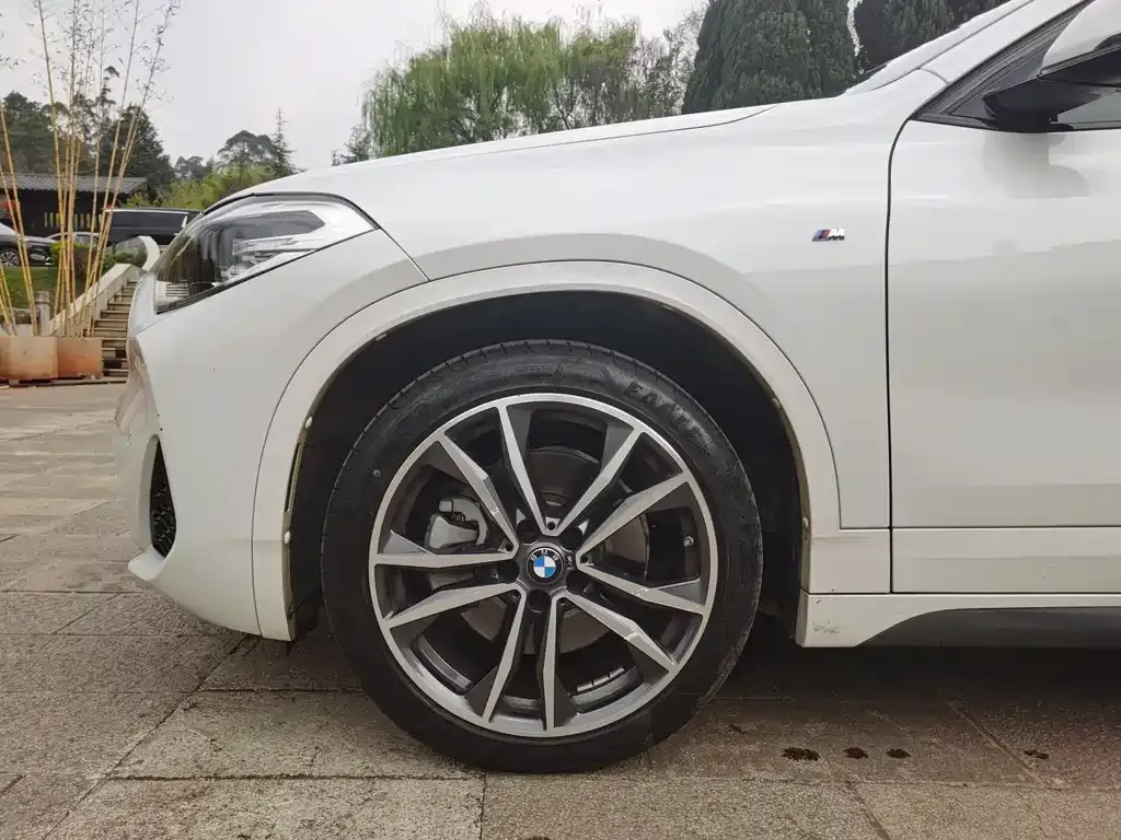 BMW X2 2021 из CN, фото 4