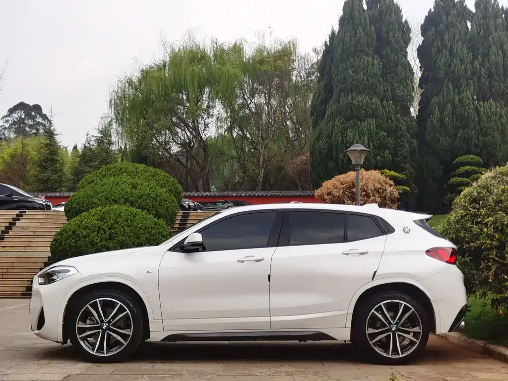BMW X2 2021 из CN, фото 3