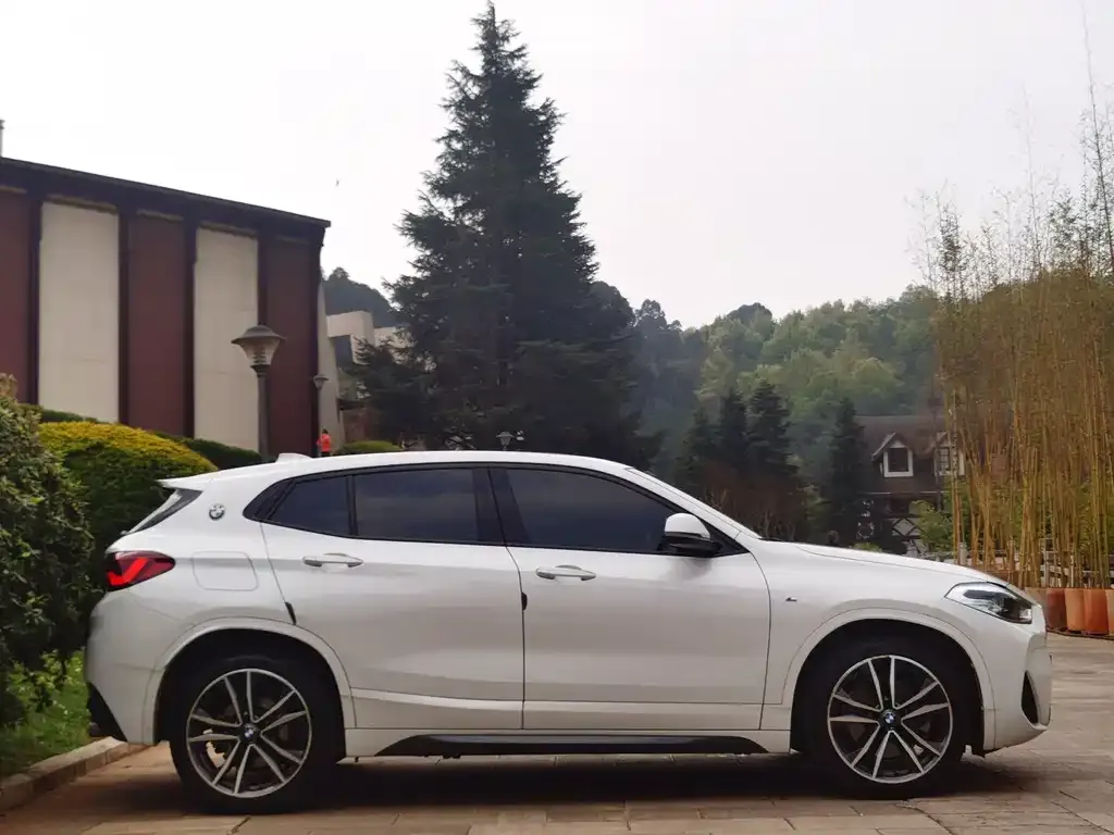 BMW X2 2021 из CN, фото 2