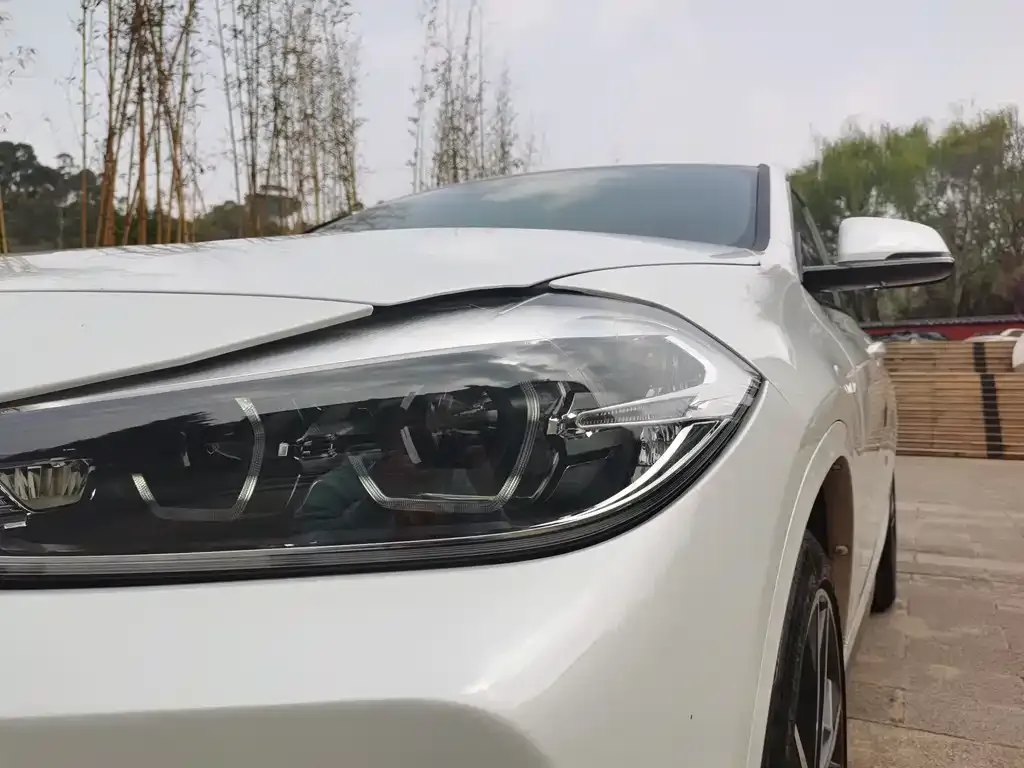 BMW X2 2021 из CN, фото 8