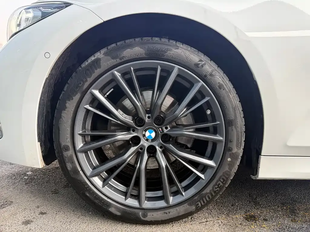 BMW 3 Series 2024 из CN, фото 6