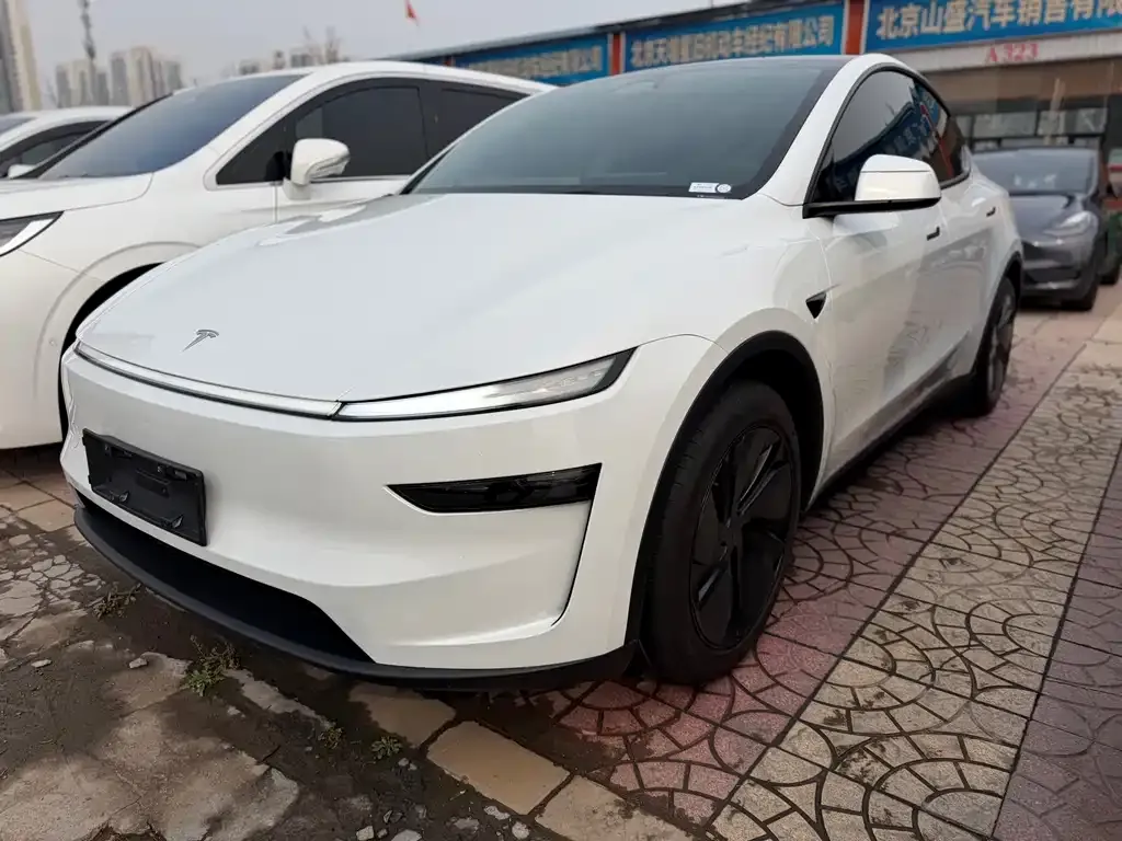 Tesla Model Y — фото 1