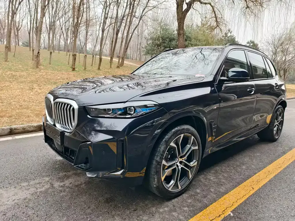 BMW X5 — фото 6