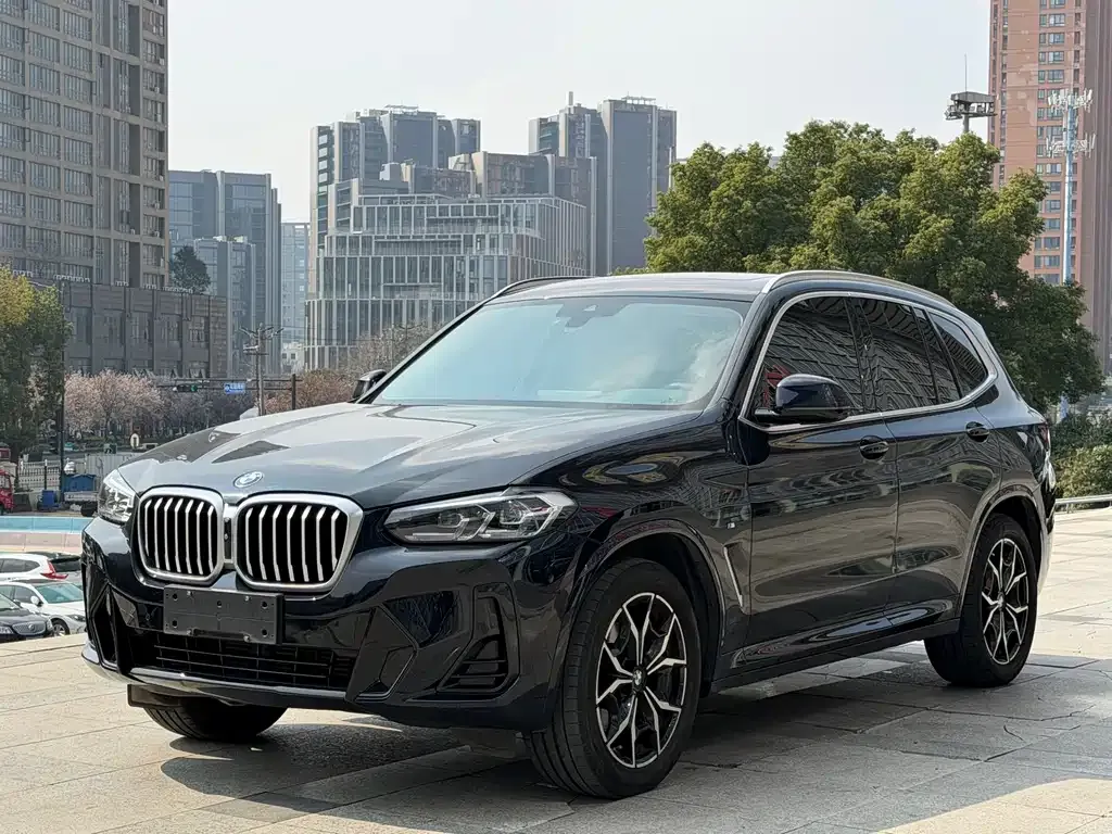 BMW X3 2023 из CN, фото 8