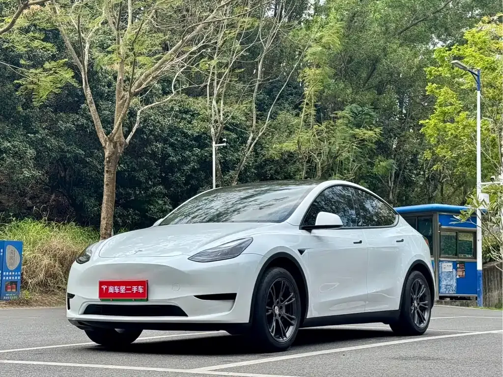 Tesla Model Y — фото 1